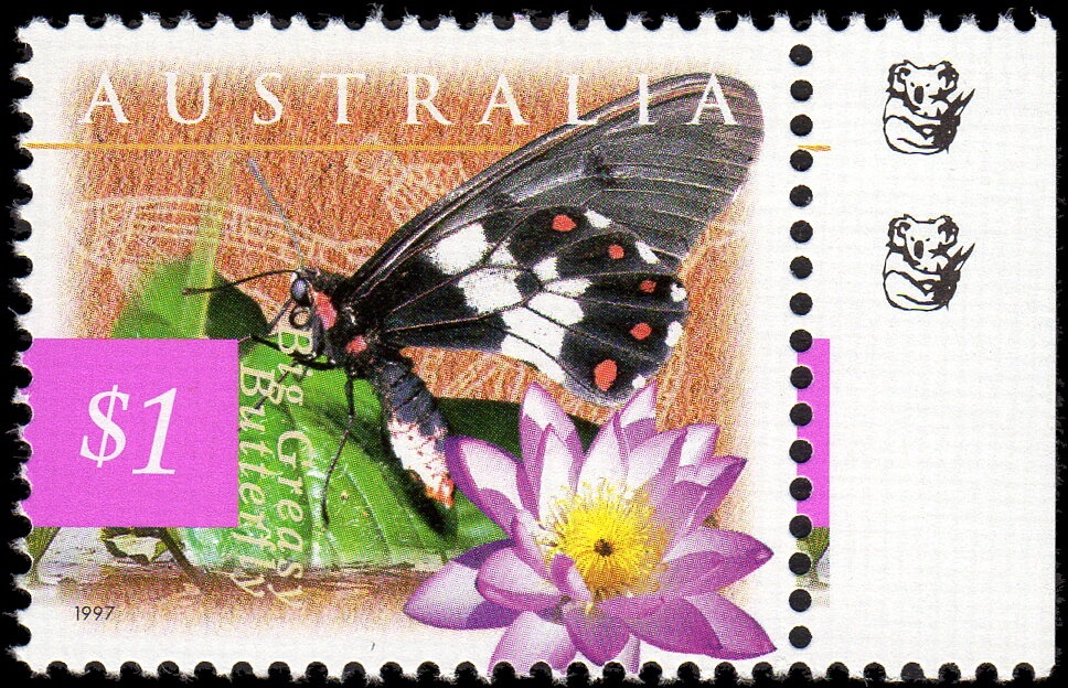 Jed Altschwager and Nikki Ayers, Rowing