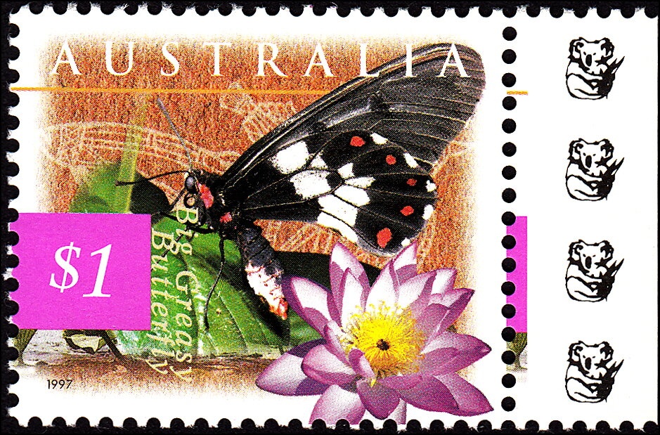 Kungkarangkalpa-Seven Sisters by Nyunmiti Burton