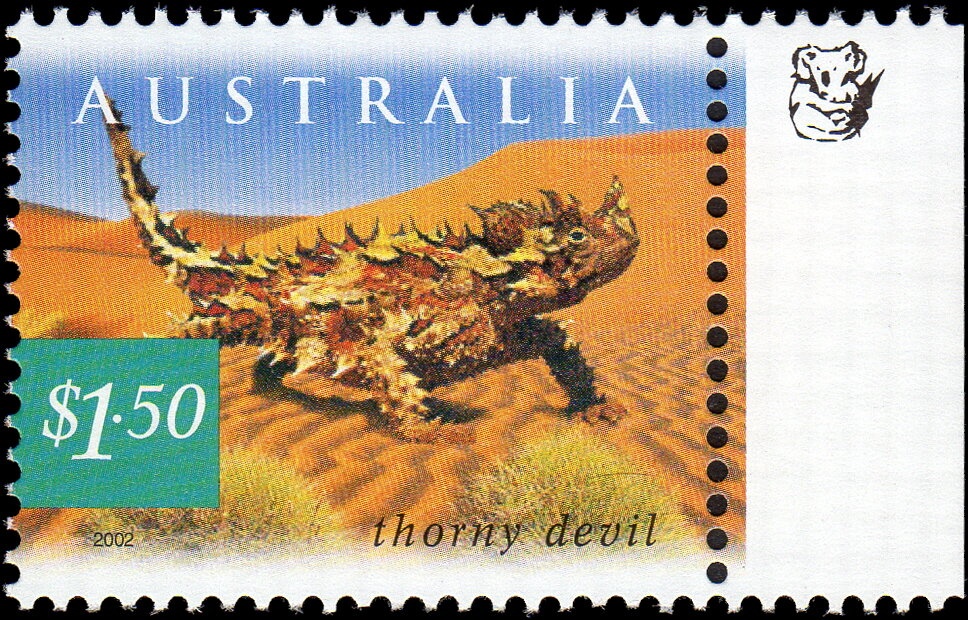 Crown of Thorns Starfish (Acanthaster planci)