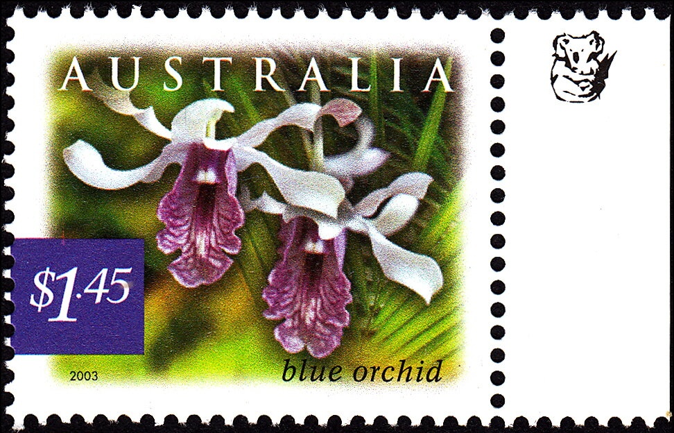 Kalkadoon Dreaming: Art of Chern’ee Sutton-Palms & people-BP