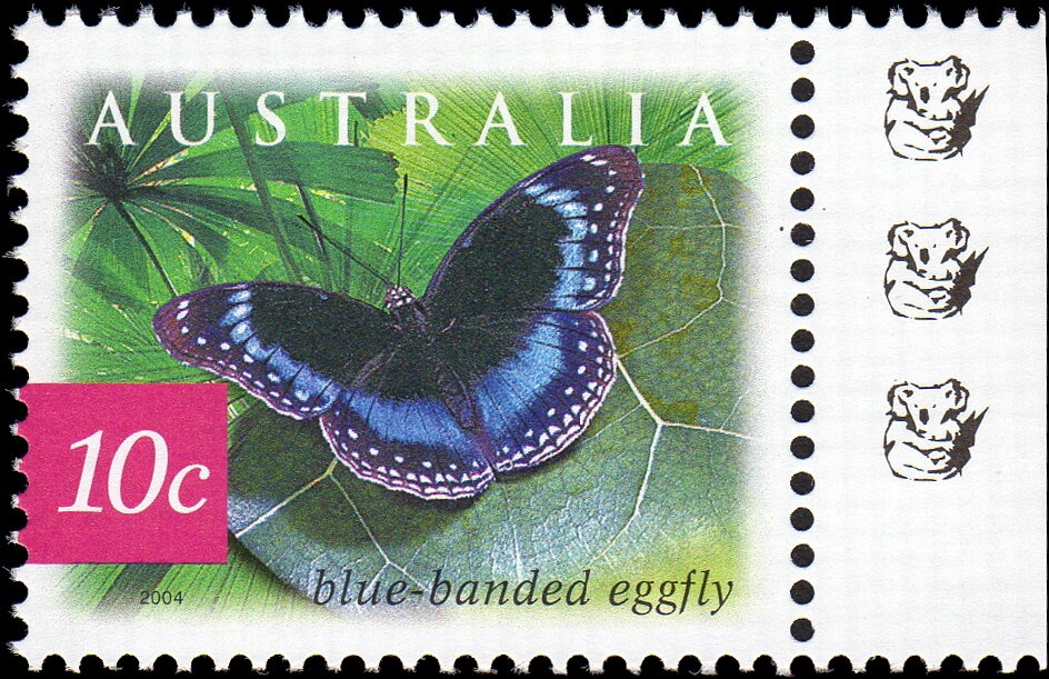 Solidarity with Ukraine