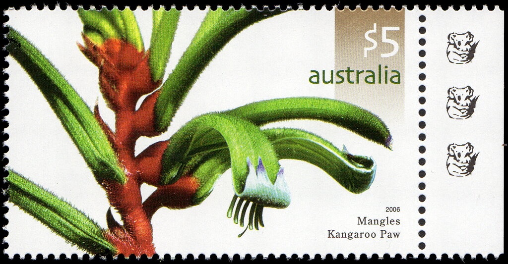 Mills Plains by John Glover