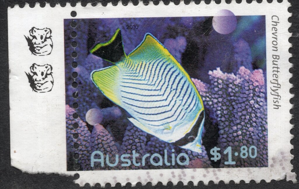 Conservation in Progress