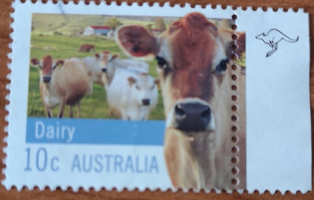 Stamp Collecting Month: Dragonflies