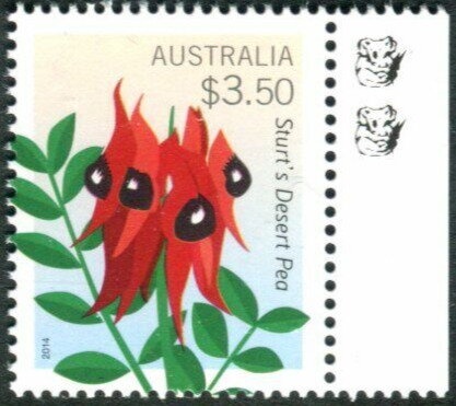 Curtis McGrath, Canoe