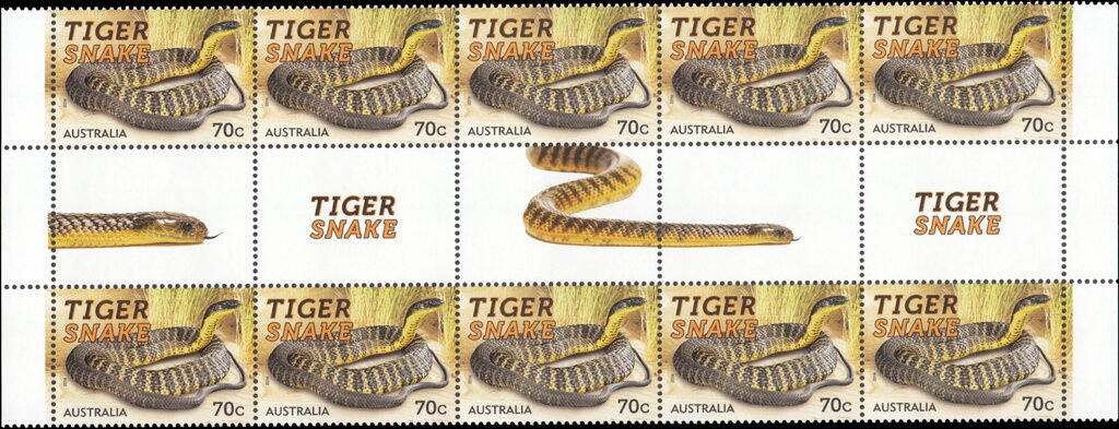 Tuberculosis Charity