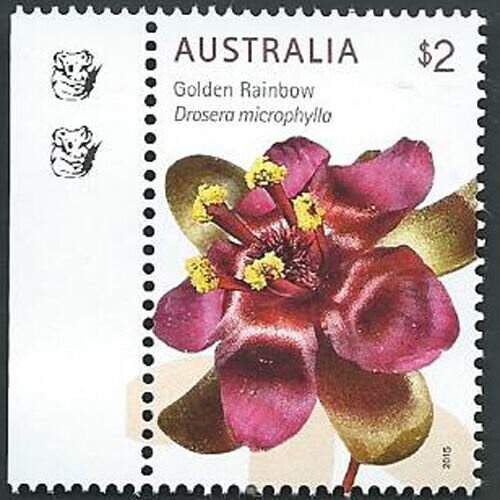 "L'Astrolabe" (D'Urville's ship)