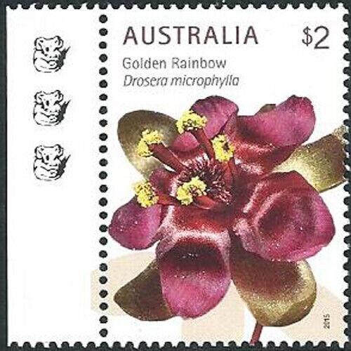 Customs Duty - London