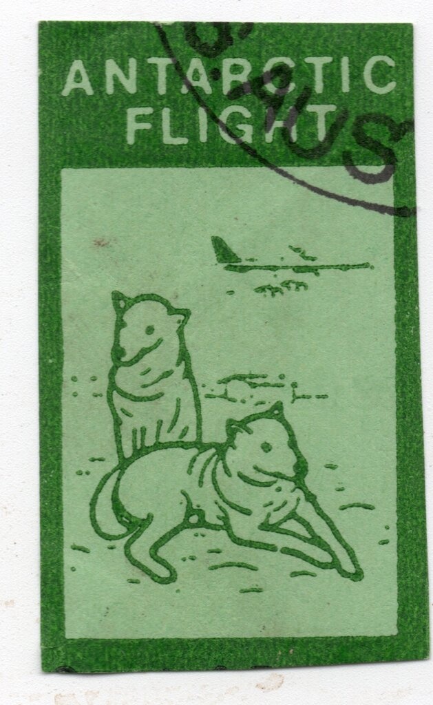 Keegan Palmer, Skateboarding