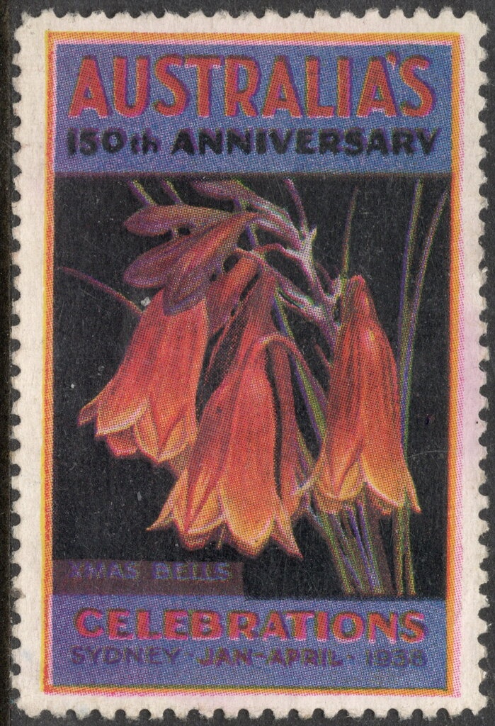 Desert Birds Hafnia 01