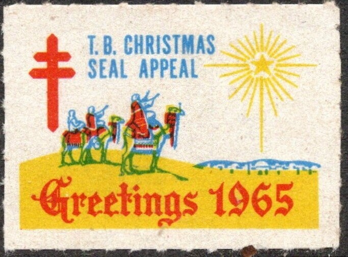 Eastern Grey Kangaroo (Macropus giganteus)