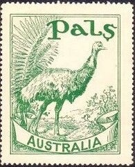 Emperor Penguin (Aptenodytes forsteri) with Chicks