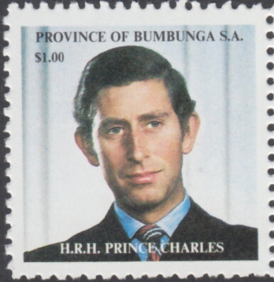 Antarctic Neosquid (Alluroteuthis antarcticus)