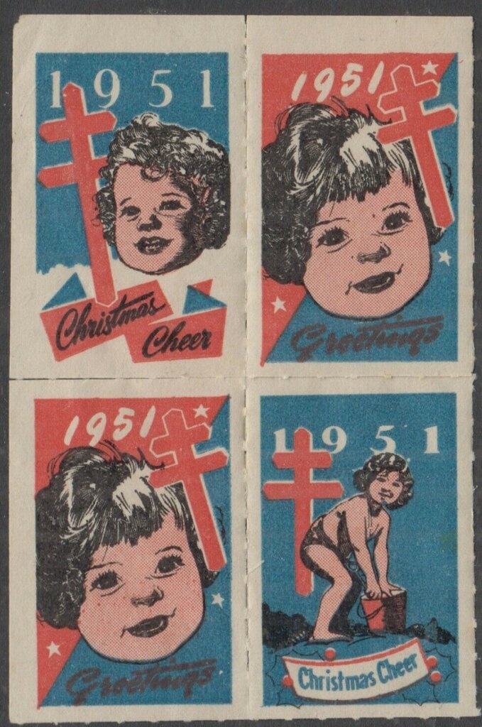 Tasmanian Devil (Sarcophilus harrisii)