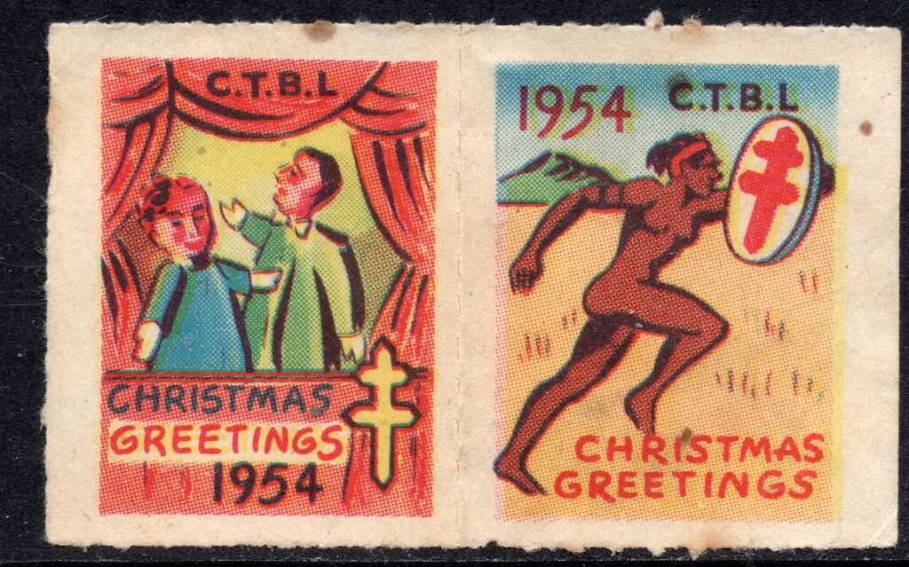 Red Kangaroo (Osphranter rufus)