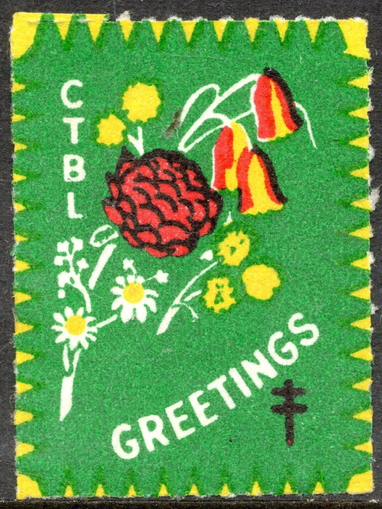 Plunderfish and Antarctic Pink Anemone