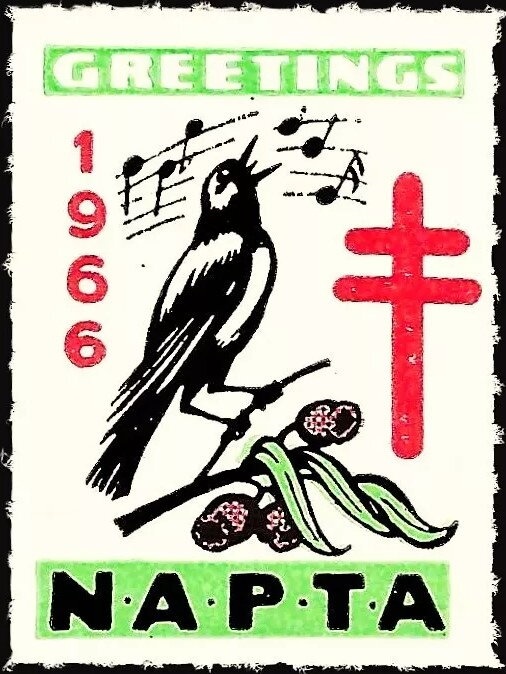 De Havilland D.H.50A