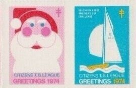 Eastern Curlew (Numenius madagascariensis)