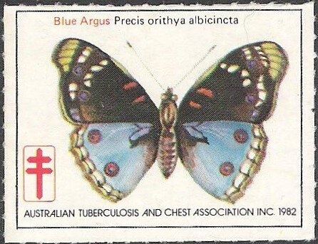 Platypus " The World's Paradox "