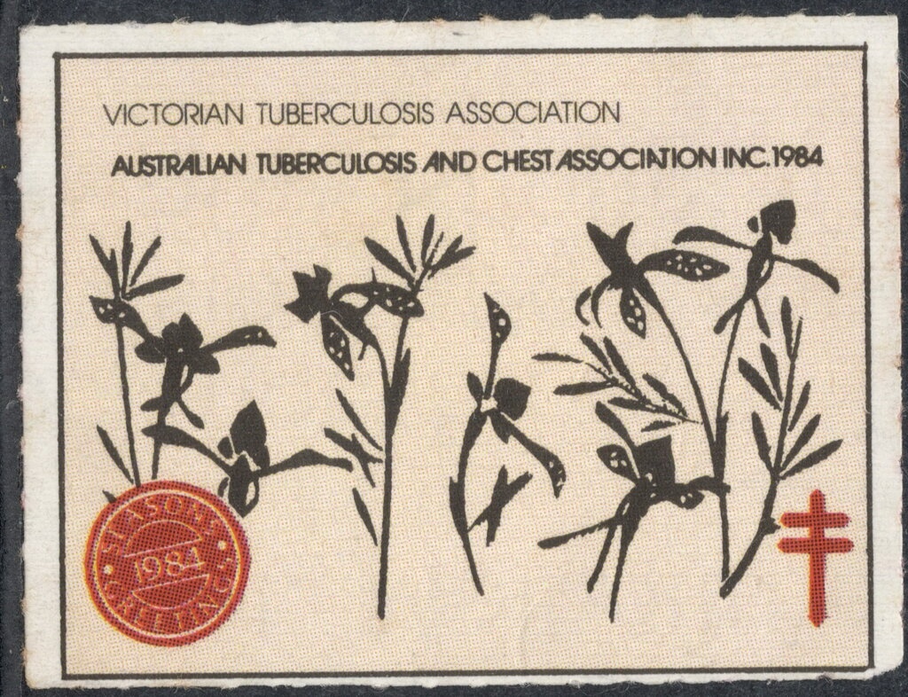 Toolache Wallaby (Notamacropus greyi)