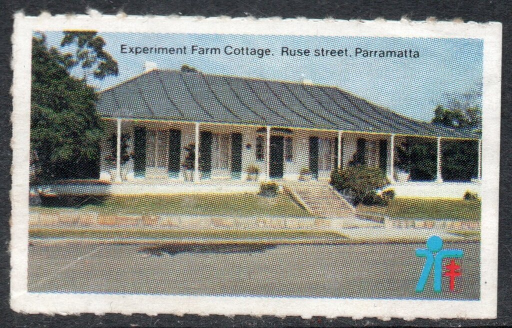 Platypus Egg Cowrie (Cuspivolva platysia)