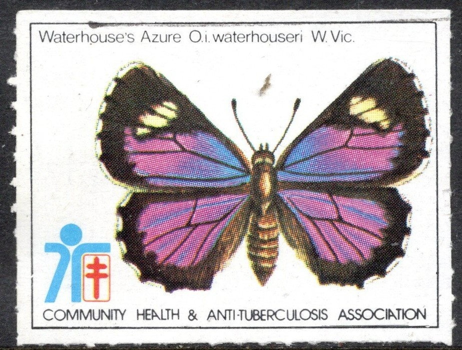 Recording Wind Speed