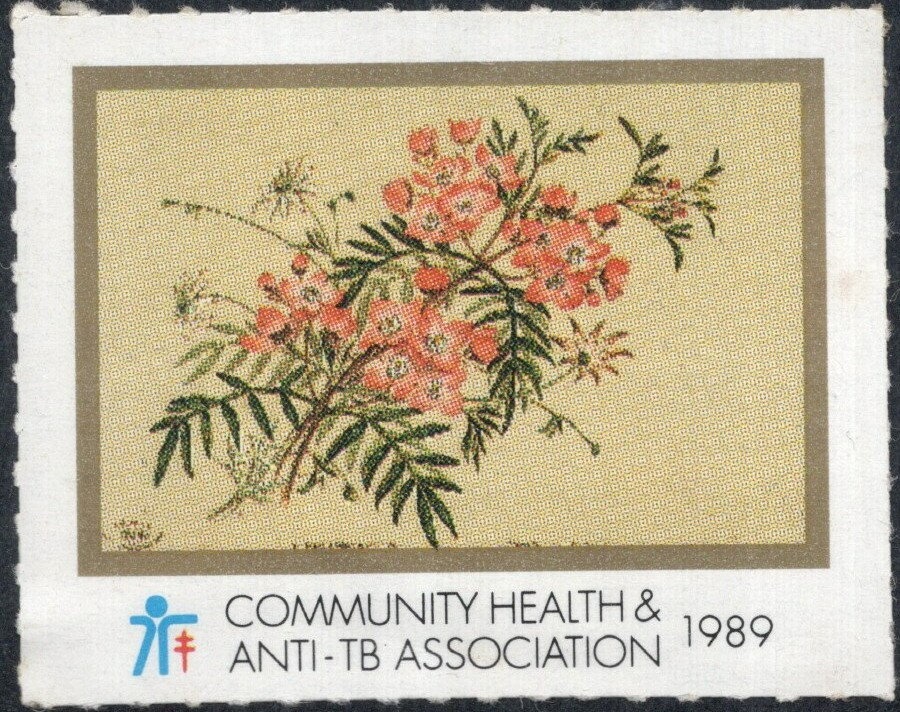 Qian Yang, Table Tennis