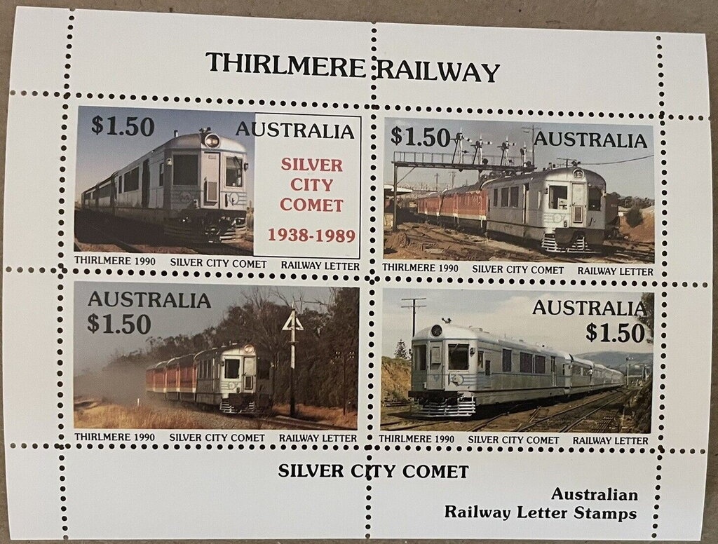 Head of Crabeater Seal (Lobodon carcinophagus)