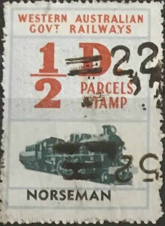 Chequered Swallowtail (Papilio demoleus)