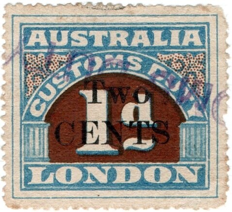 Black-Breasted Buzzard (Hamirostra melanosternon)