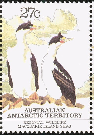 Australian Rules Football - (3rd Reprint - 3 Koalas)