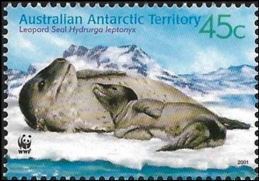 Special Occasions 2024