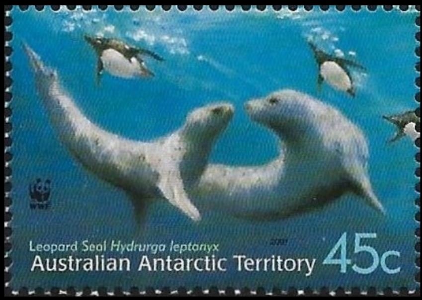 Crabeater Seal