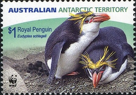 Frank Hurley Filming SY "Aurora"