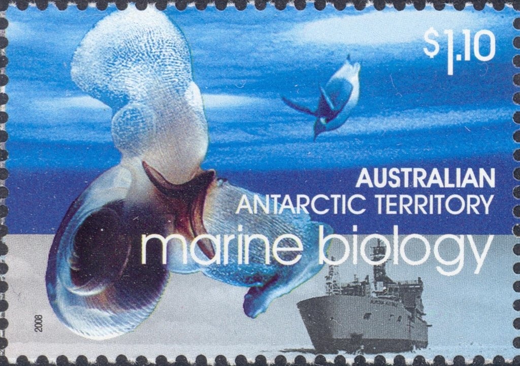 Labrador and Handler Searching for Rabbits