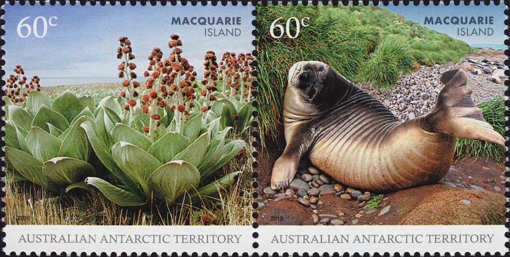 Early Winter Evening, Casey Station