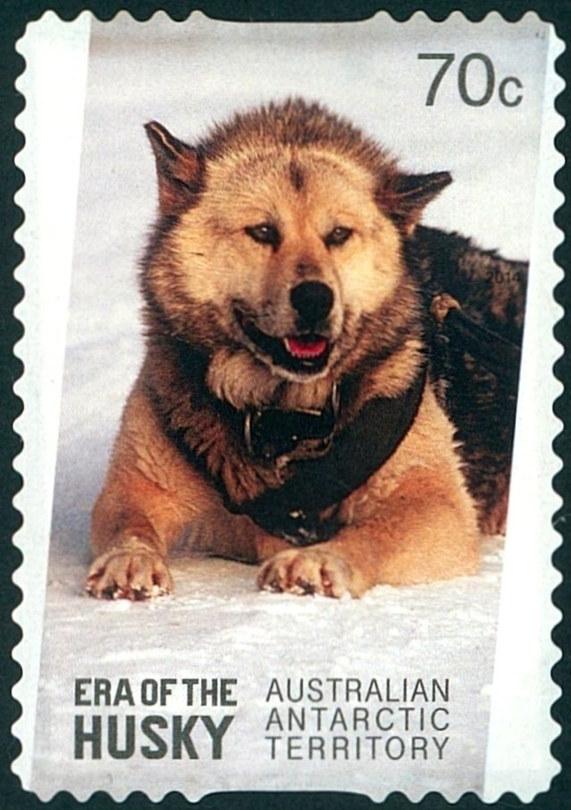 Mediterranean Cuisine