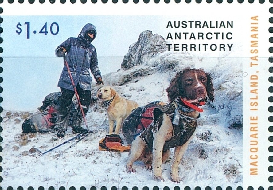 Visual Arts - (2nd Reprint - 2 Koalas)