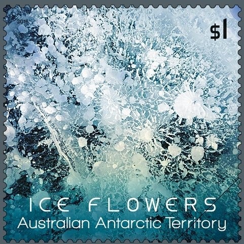 Customs Duty - London