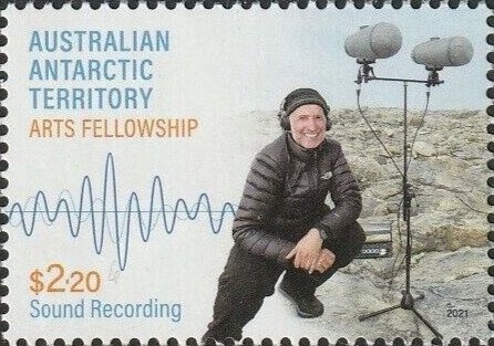 Tiger Orchid (Diuris sulphurea)