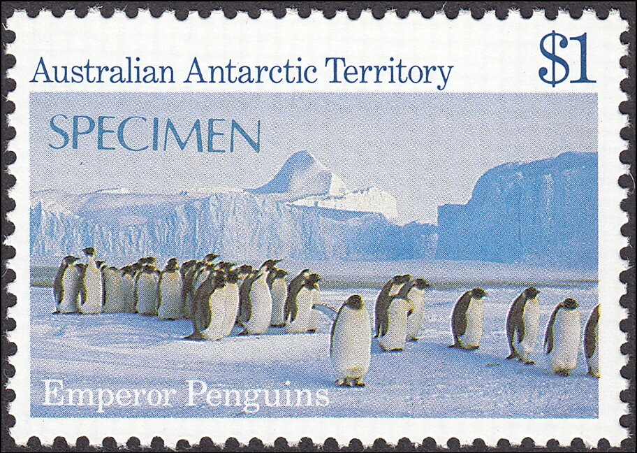 Classic Fruit Can Labels