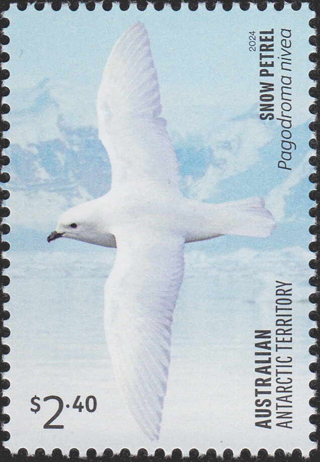 Lady Gowrie Red Cross Appeal