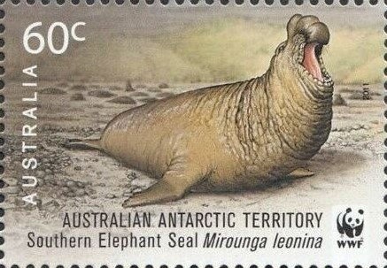 South Magnetic Pole 1909-2009