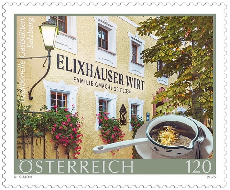 Royal Penguin (Eudyptes schlegeli)