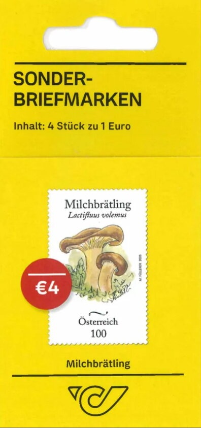 Antarctic Sea Star (Odontaster validus)