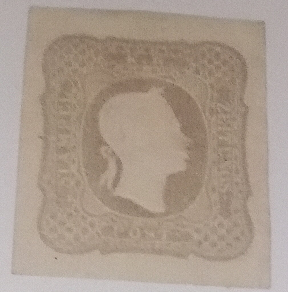 ANDA on Wild Babies - Overprint