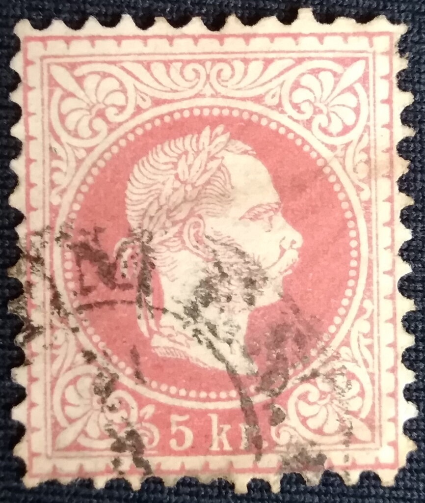 Short-beaked Echidna 3rd Reprint - 3 Koalas