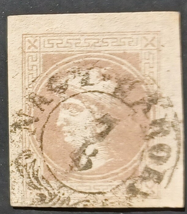 Sturt's Desert Pea (Swainsona formosa) 2nd Reprint