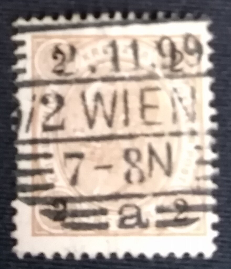 Weddell Seal (Leptonychetes weddelli)