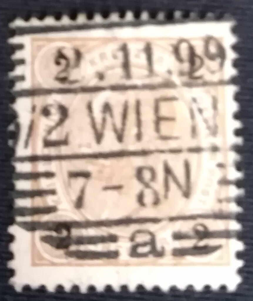 Black Marlin & Shortfin Mako, Tiger Shark